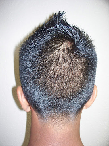 Barber Shop «Fade Masters Barbershop 3», reviews and photos, 6712 Hanley Rd, Tampa, FL 33634, USA