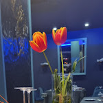 Photo n°1 de l'avis de Princess. fait le 12/02/2023 à 09:28 sur le  Blu Ristorante à Monte di Procida