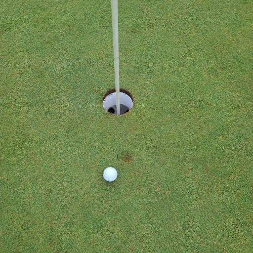 Public Golf Course «Meridian Sun Golf Club», reviews and photos, 1018 Haslett Rd, Haslett, MI 48840, USA