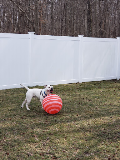 Pet Supply Store «Pet Valu», reviews and photos, 55 U.S. 9, Manalapan Township, NJ 07726, USA