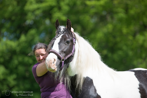 Mobile Tierheilpraxis Mandy Köhler unter Beetzendorf, 
