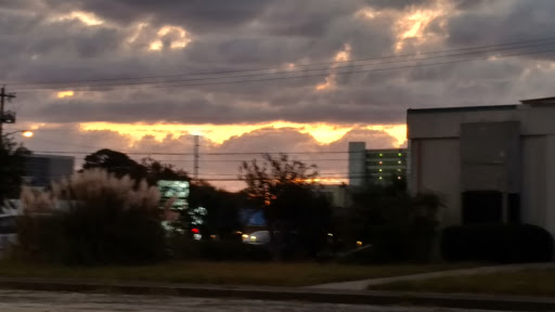 Grocery Store «Food Lion», reviews and photos, 1430 S Kings Hwy, Myrtle Beach, SC 29578, USA