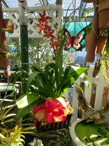 Florist «Thai-Rific Orchids Inc», reviews and photos, 5313 Gulfport Blvd S, Gulfport, FL 33707, USA