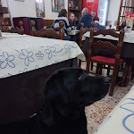 Photo n°1 de l'avis de Vito.i fait le 17/11/2023 à 23:23 sur le  Pizzeria Real à Trevozzo