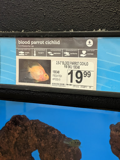 Pet Supply Store «Petco Animal Supplies», reviews and photos, 9 W Avon Rd, Avon, CT 06001, USA