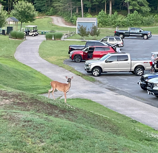 Golf Course «The Gauntlet Golf Club», reviews and photos, 18 Fairway Dr, Fredericksburg, VA 22406, USA