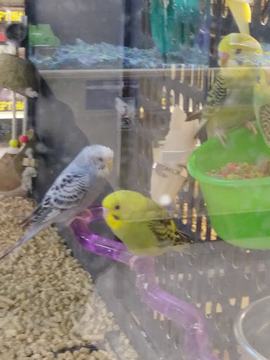 Pet Supply Store «PetSmart», reviews and photos, 355 Howe Ave, Cuyahoga Falls, OH 44221, USA