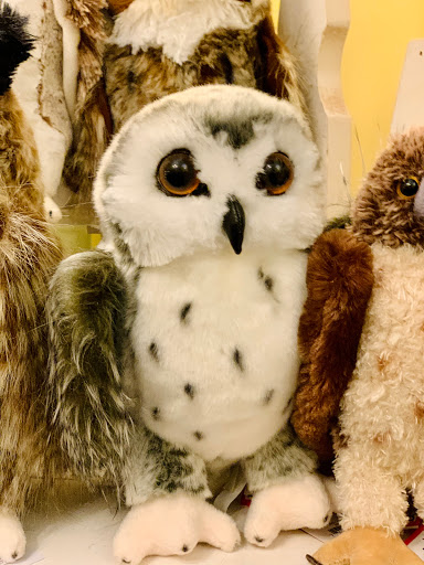 Gift Shop «The Chocolate Goat Gift Shoppe», reviews and photos, 103 NJ-15, Lafayette Township, NJ 07848, USA