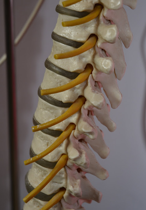 عيادة سيلفر هيلث كلينيك - Silver Health Clinic