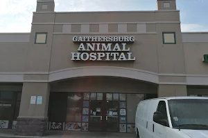 Gaithersburg Animal Hospital image