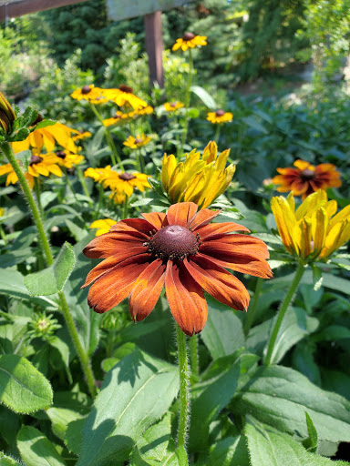 Garden Center «Whispering Pine Garden Center & Florist», reviews and photos, 1 Windsor Rd, Yorktown Heights, NY 10598, USA