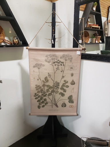 Thrift Store «Second Chances Thrift Store», reviews and photos, 49 Glendale Ave, Asheville, NC 28803, USA