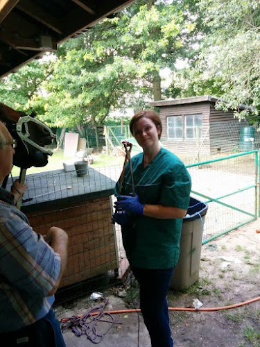 Beoordelingen van Dierenartsenpraktijk De Mey - Paardentandarts Tine De Mey in Aalst - Dierenarts