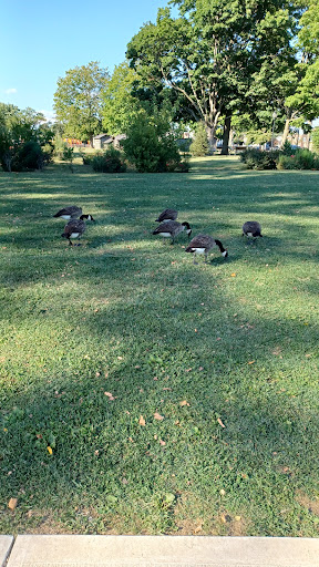 Park «Governor Printz Park», reviews and photos, Taylor Ave & W 2nd St, Essington, PA 19029, USA