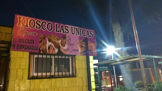 Kiosco Las Unicas Milcaos Y Empanadas - Castro