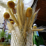 Photo n°9 de l'avis de Roberta.. fait le 20/08/2021 à 18:20 sur le  Osteria Versa à Santa Maria della Versa