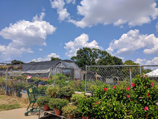 Health Food Store «Cox Farms Market - Duncanville», reviews and photos, 1026 S Main St, Duncanville, TX 75137, USA