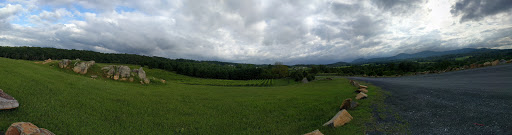 Winery «Blue Valley Vineyard And Winery», reviews and photos, 9402 Justice Ln, Delaplane, VA 20144, USA