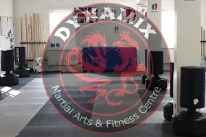 Dynamix Martial Arts & Fitness Centre image