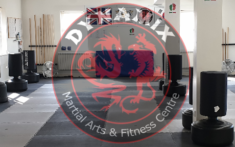 Dynamix Martial Arts & Fitness Centre image