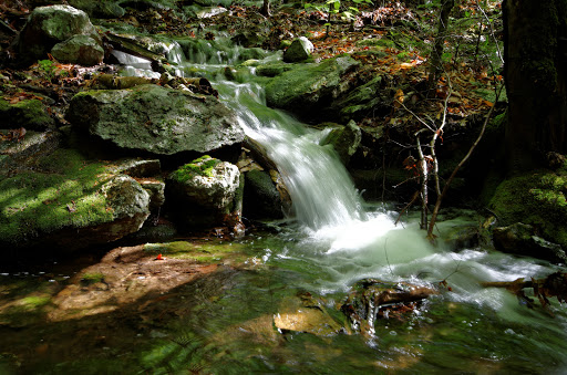 State Park «Wachusett Mountain State Reservation», reviews and photos, 345 Mountain Rd, Princeton, MA 01541, USA