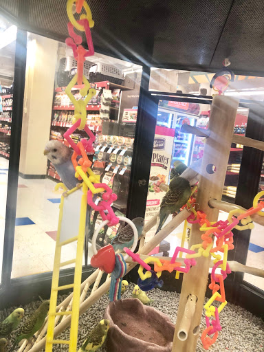 Pet Supply Store «Petco Animal Supplies», reviews and photos, 169 Parkingway, Quincy, MA 02169, USA