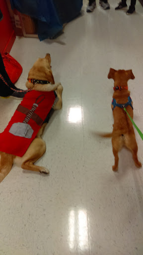 Pet Supply Store «PetSmart», reviews and photos, 2510 Berryhill Rd, Montgomery, AL 36117, USA