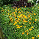 Photo n°10 de l'avis de walter.r fait le 09/12/2016 à 16:41 sur le  Café-Bistro Grünental à Monschau