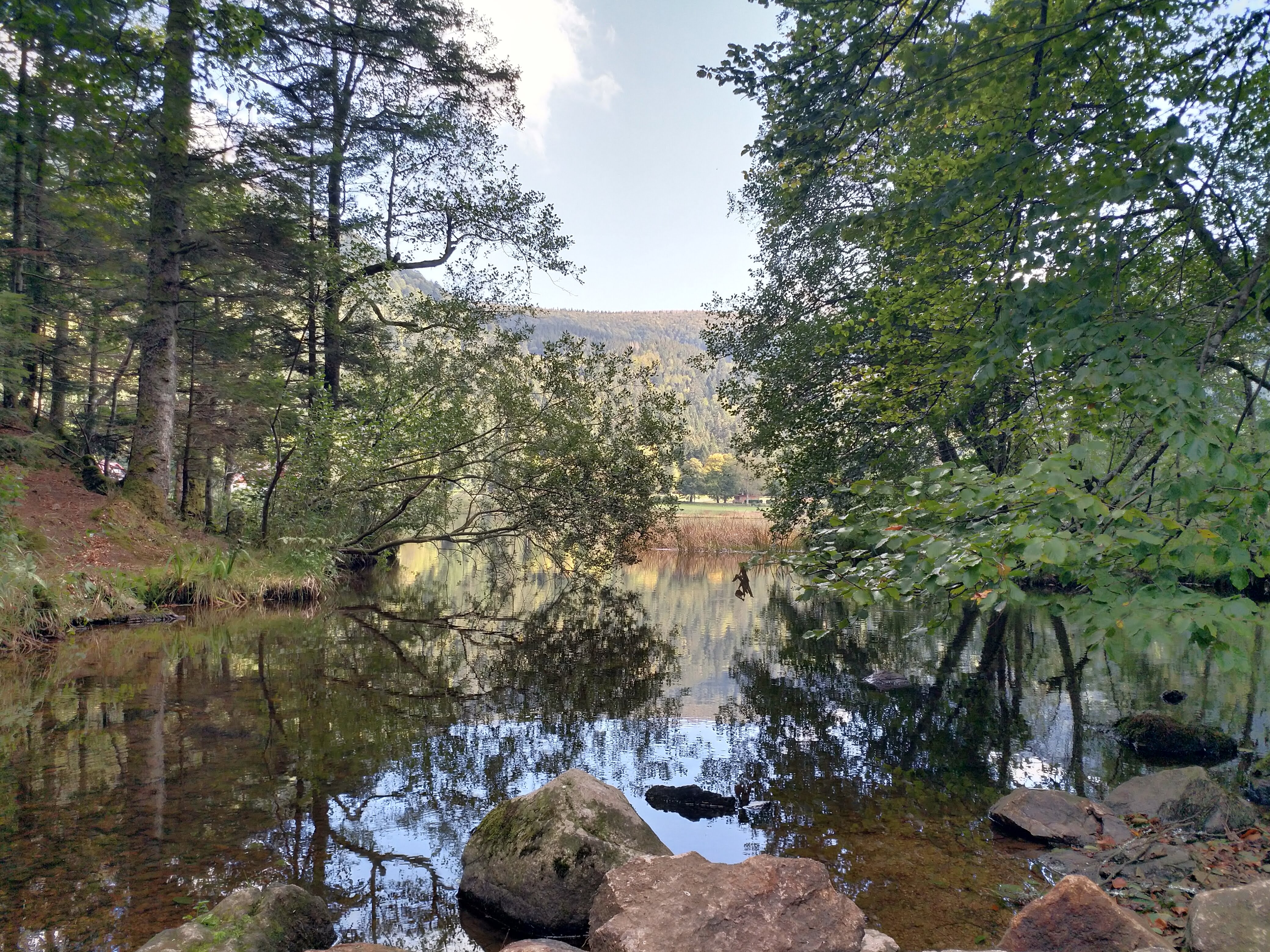 Photo n° 2 de l'avis de Théo.e fait le 30/11/2018 à 15:59