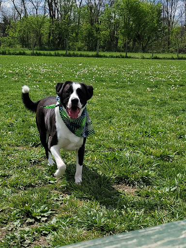 Pet Supply Store «PetSmart», reviews and photos, 181 Wilson Ave, Hanover, PA 17331, USA