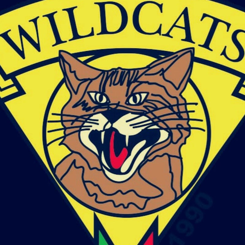 Wildcats Motor Group 1990