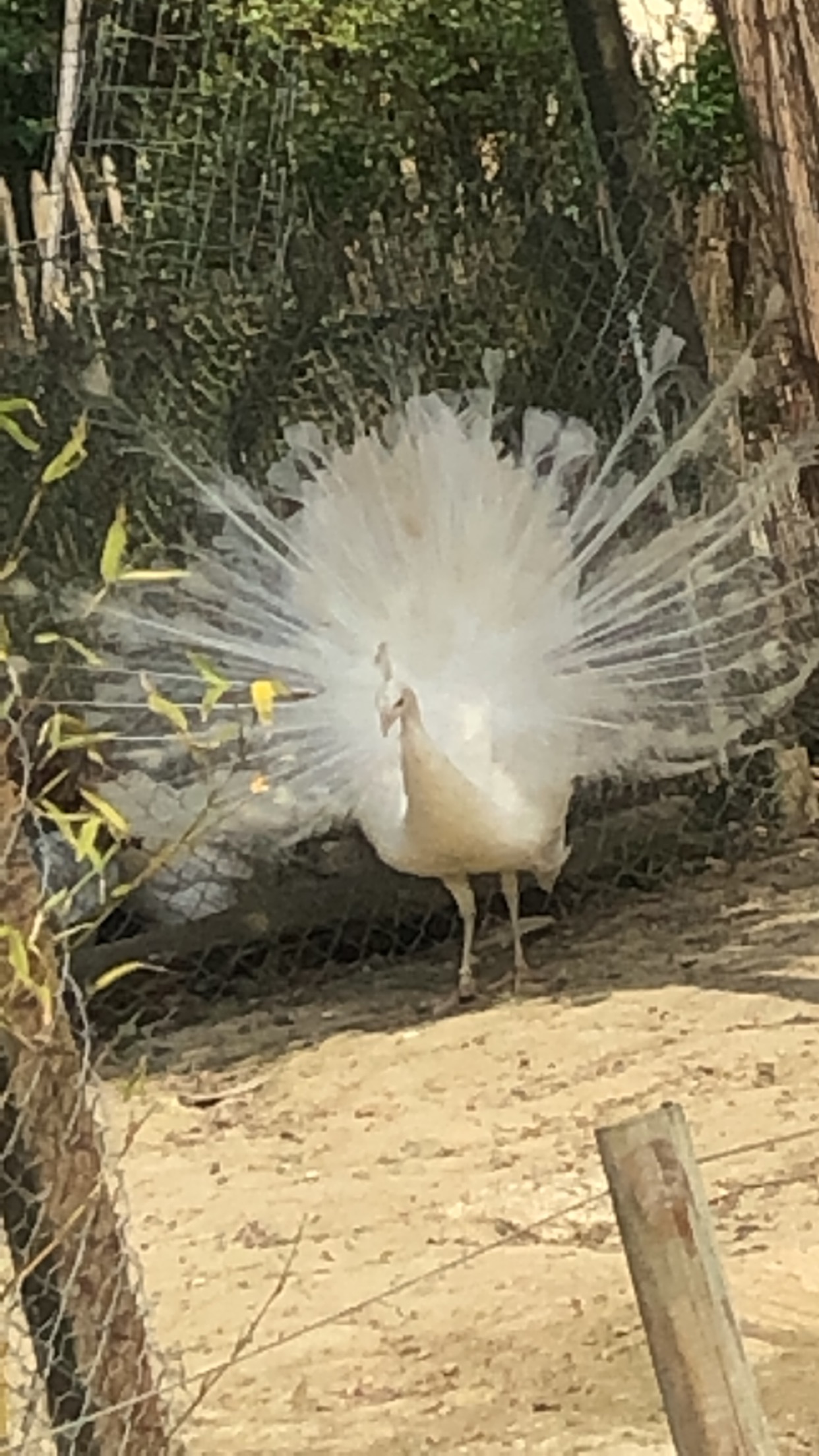 Photo n° 3 de l'avis de Maëva.a fait le 25/04/2019 à 07:51