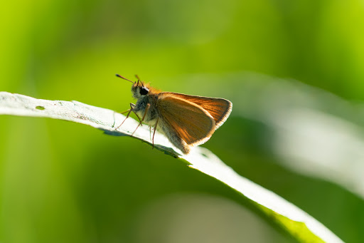 Park «Colby Lake Park», reviews and photos, 9715 Valley Creek Rd, Woodbury, MN 55125, USA