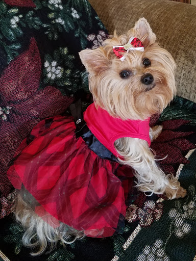 Pet Store «PetSmart», reviews and photos, 6545 North Grand Parkway West Suite 104, Spring, TX 77389, USA