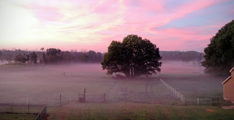 Morning View Farm, LLC.