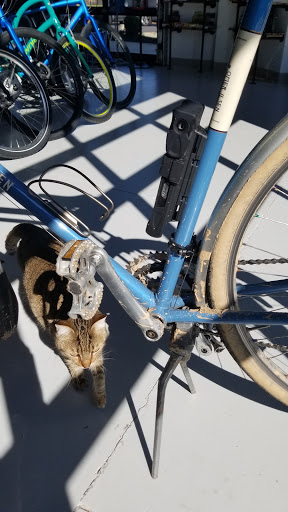 Bicycle Store «Swim, Bike & Run», reviews and photos, 153 E White St, Rock Hill, SC 29730, USA