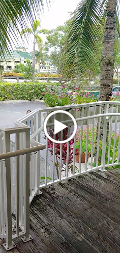 Wine Store «Three60 Market», reviews and photos, 2891 Bayview Dr, Naples, FL 34112, USA