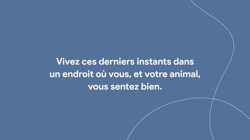 Service vétérinaire Euthanasie à domicile Lanaudière image