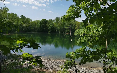 The Pond image