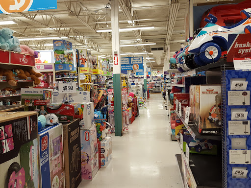 Toy Store «Toys