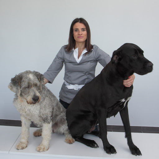 Hospitales y veterinarios de urgencia en Ponteareas de 2024