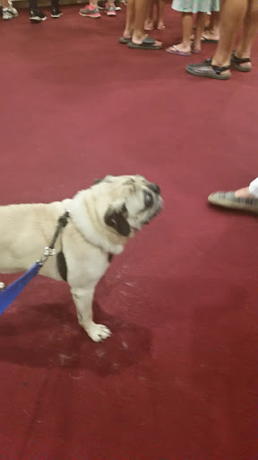 Movie Theater «Valley Cinema 1 & 2», reviews and photos, 20 Albany St, Little Falls, NY 13365, USA