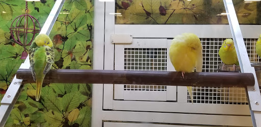 Pet Supply Store «PetSmart», reviews and photos, 1515 US-22, Watchung, NJ 07069, USA