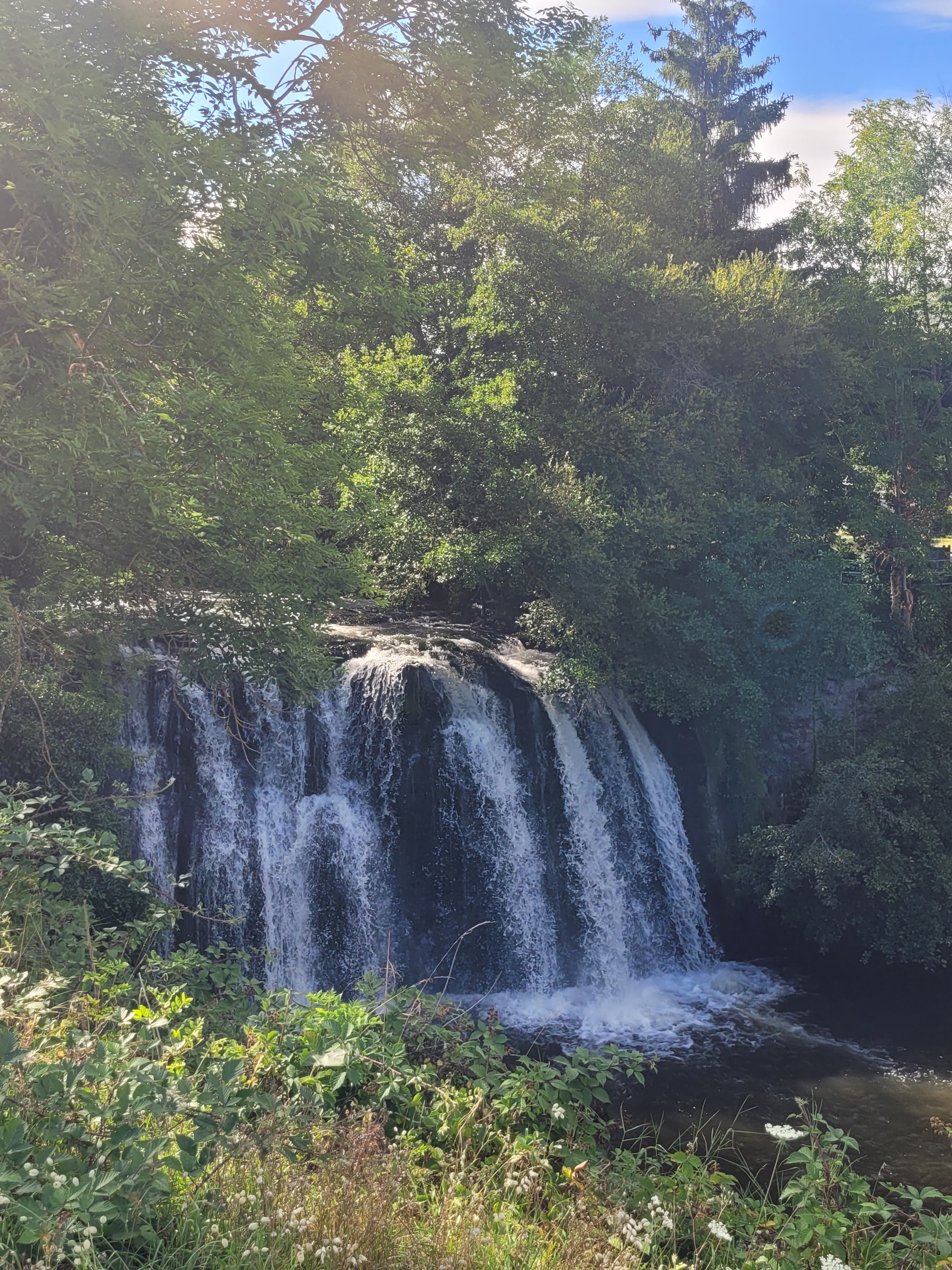 Photo n° 1 de l'avis de Laetitia.o fait le 06/08/2023 à 16:10
