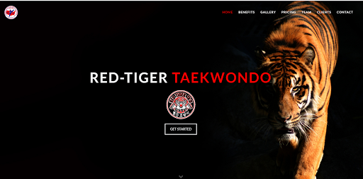 USTC's Red Tiger Taekwon-do