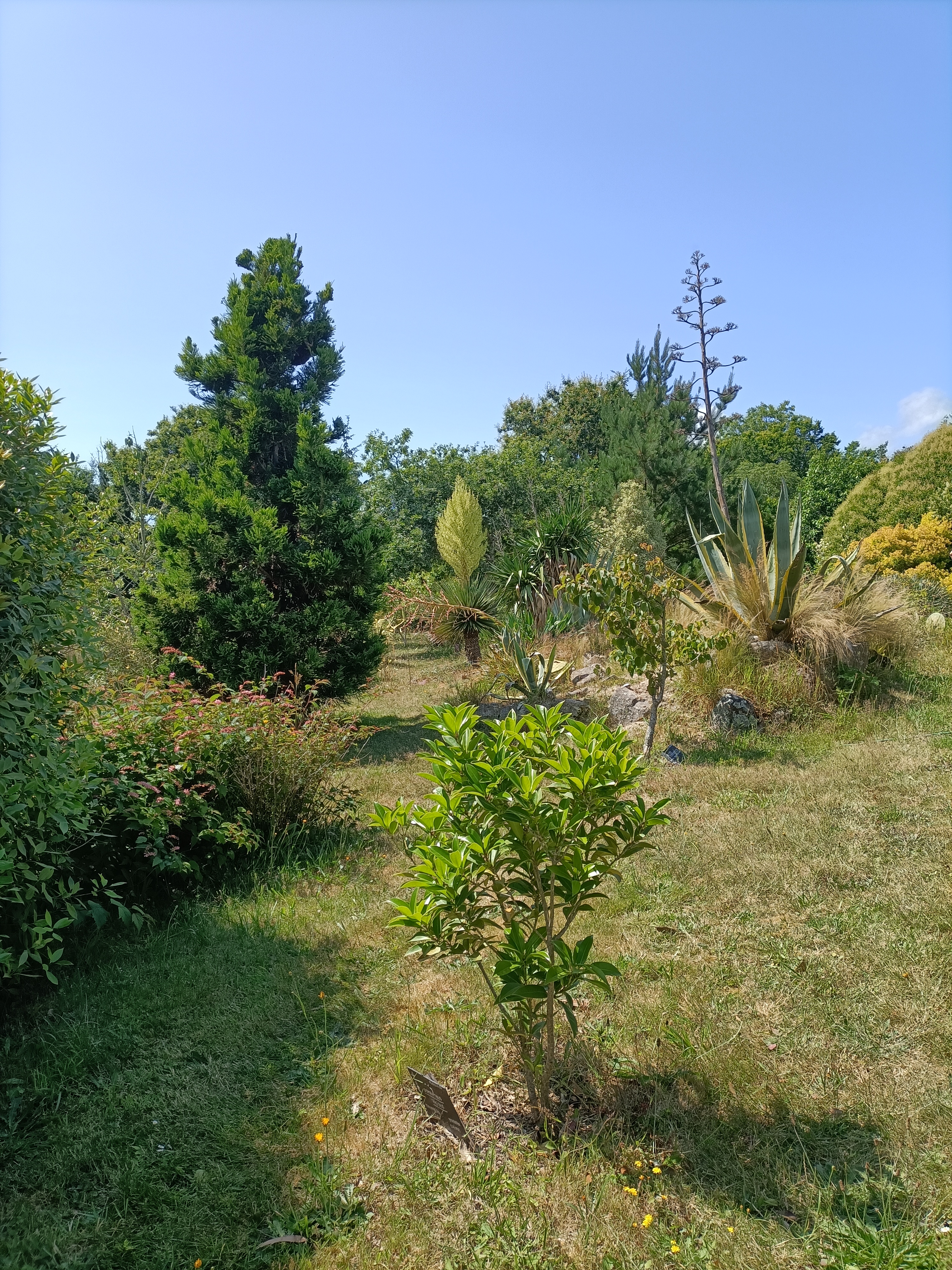 Photo n° 2 de l'avis de véronique.a fait le 20/06/2023 à 17:41