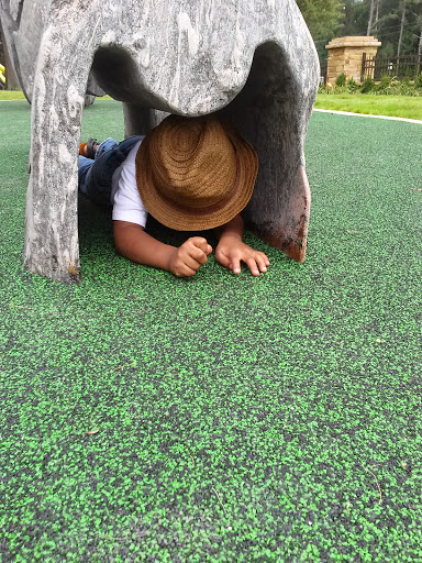 Park «Abernathy Greenway», reviews and photos, 70 Abernathy Rd NE, Sandy Springs, GA 30328, USA