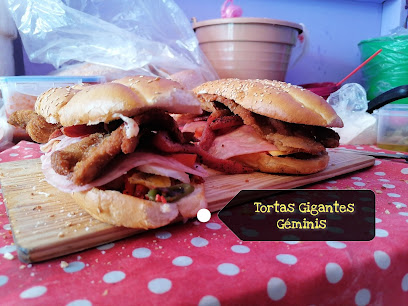 Tortas Gigantes Géminis - C. P.º Mariposa Monarca 579, 50660 San José del Rincón Centro, Méx., Mexico