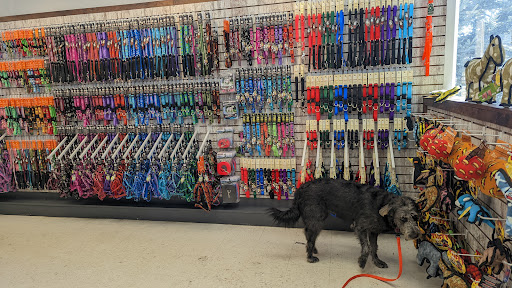 Pet Supply Store «Four Your Paws Only», reviews and photos, 1821 White Mountain Hwy, North Conway, NH 03860, USA
