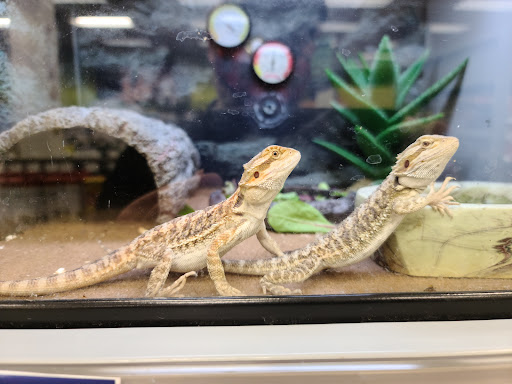 Pet Supply Store «Petco Animal Supplies», reviews and photos, 7215 170th Ave NE #115, Redmond, WA 98052, USA